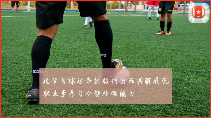 追梦与球迷争执裁判出面调解展现职业素养与冷静处理能力