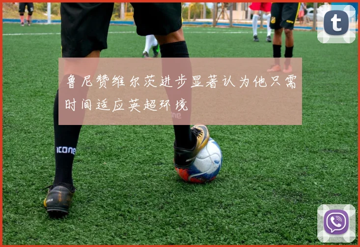 鲁尼赞维尔茨进步显著认为他只需时间适应英超环境