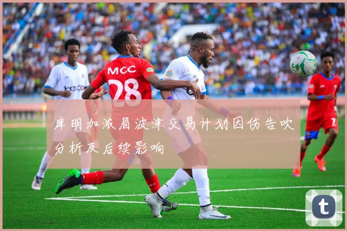 库明加浓眉波津交易计划因伤告吹分析及后续影响